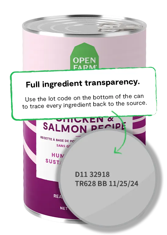 Chicken & Salmon Pâté for Dogs