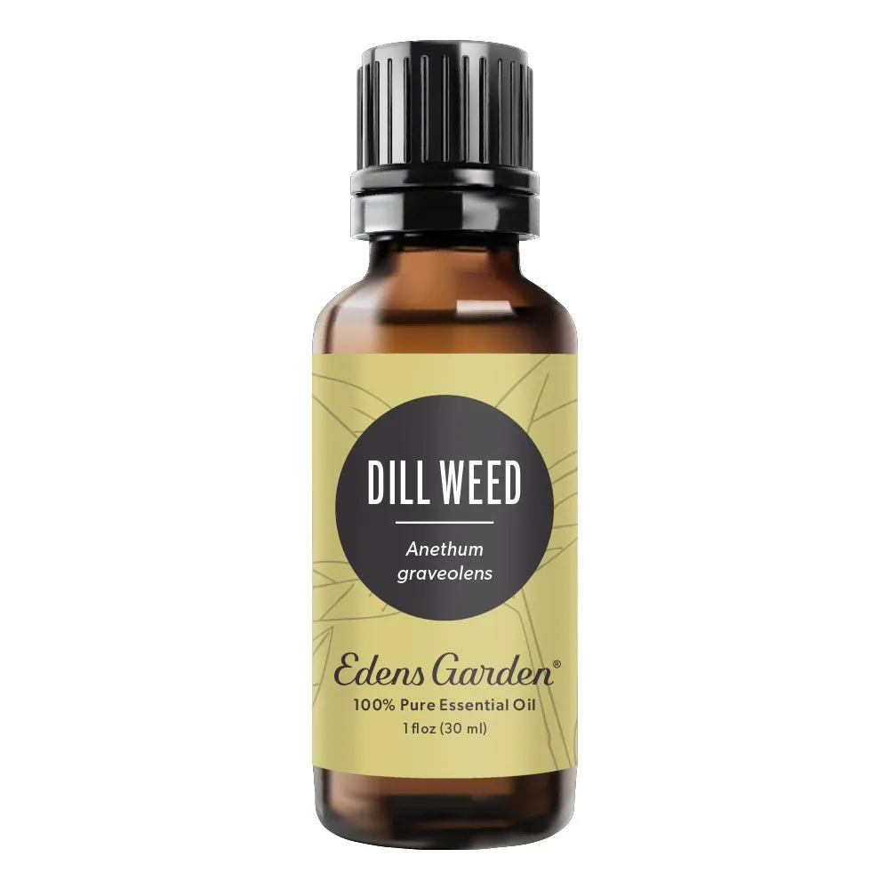 Dill Weed Essential Oil