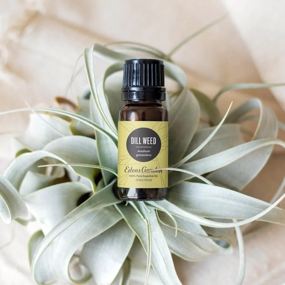 Dill Weed Essential Oil