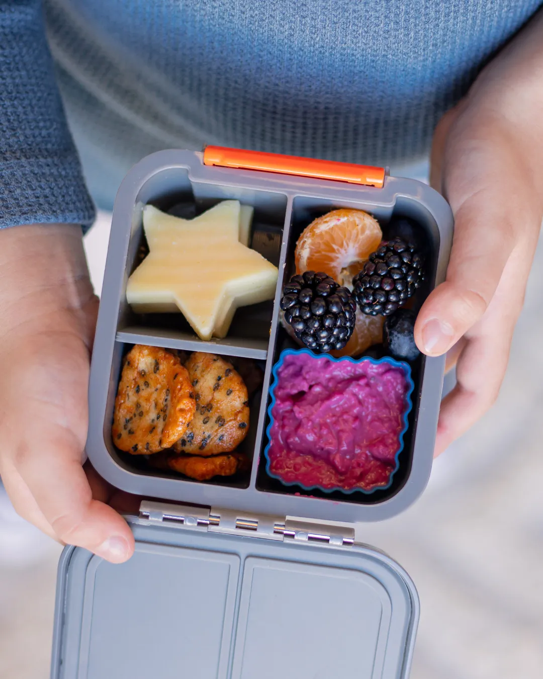 Lunch Punch Sandwich Cutters - Mini Bites