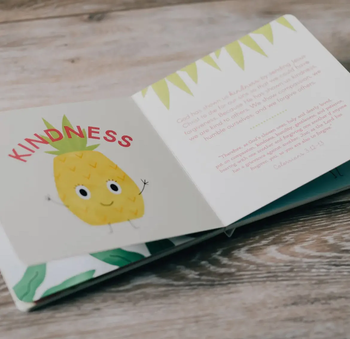 The Fruit of the Spirit Board Book